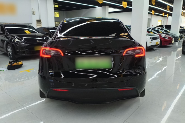 Tesla Model Y 2023 #6 Tesla Model Y 2023 car image #6