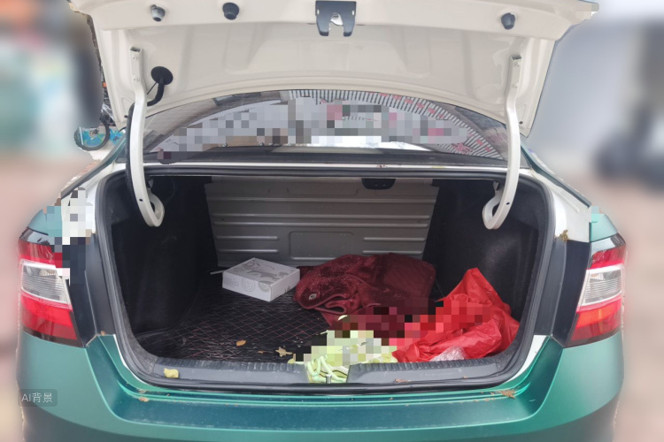Skoda Rapid 2019 car image #21
