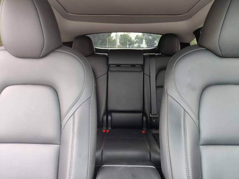 Tesla Model Y 2024 car image #6
