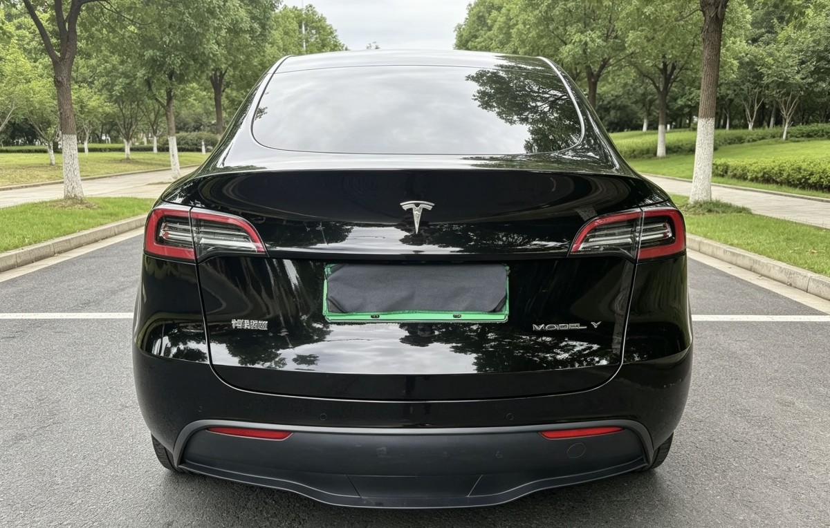 Tesla Model Y 2023 #4 Tesla Model Y 2023 car image #4
