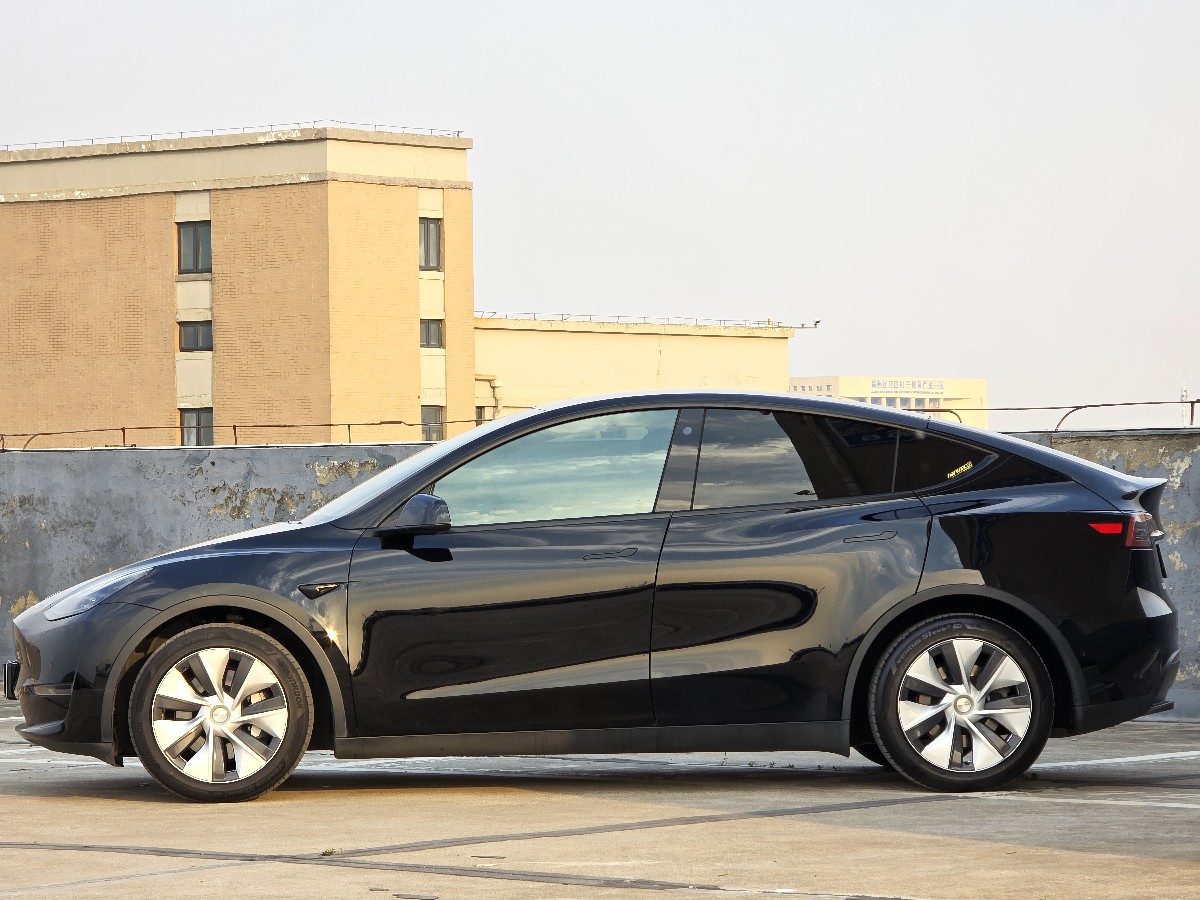 Tesla Model Y 2021 car image #4