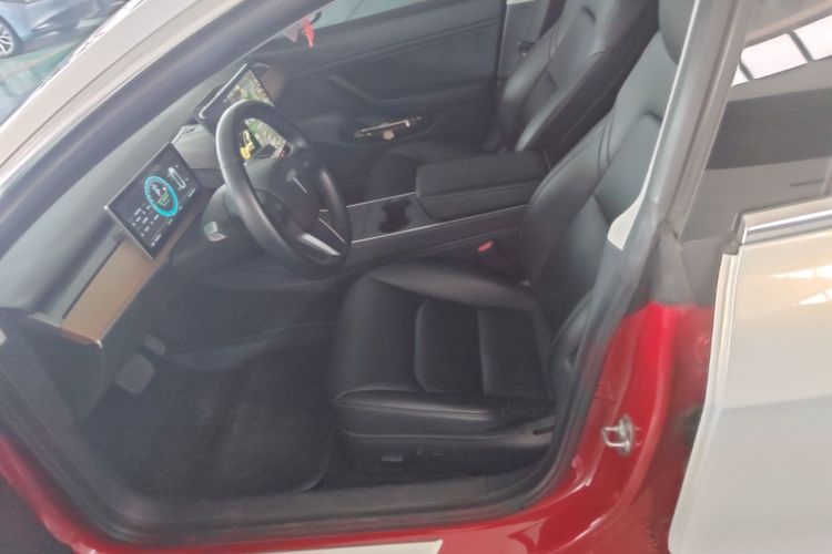 Tesla Model 3 2020 car image #15