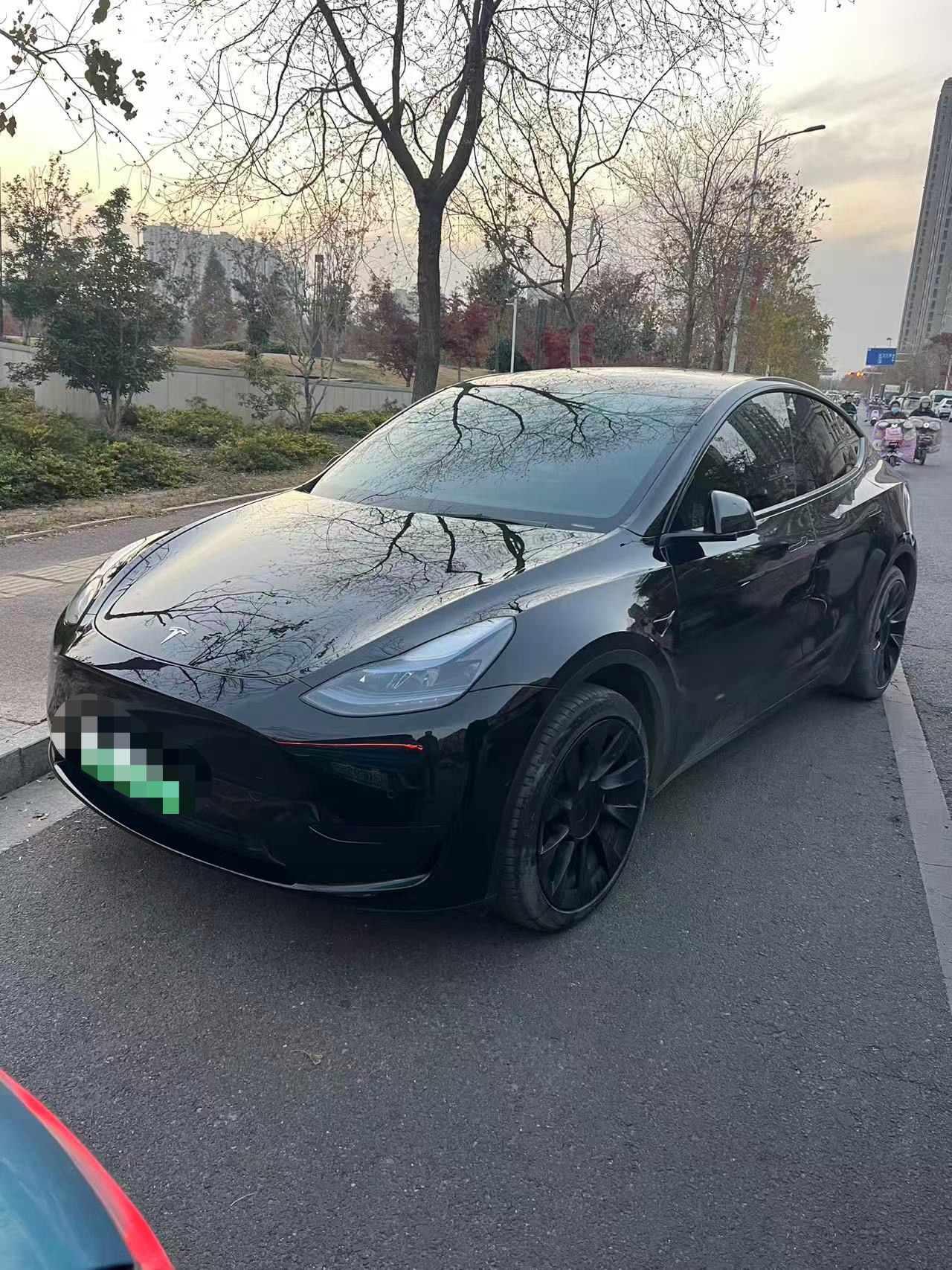 Tesla Model Y 2023 Tesla Model Y 2023 car image