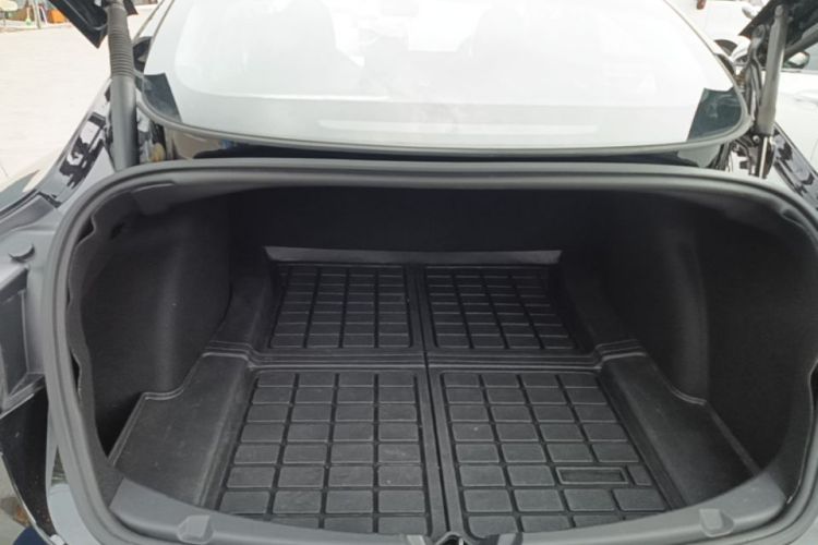 Tesla Model 3 2021 #21 Tesla Model 3 2021 car image #21