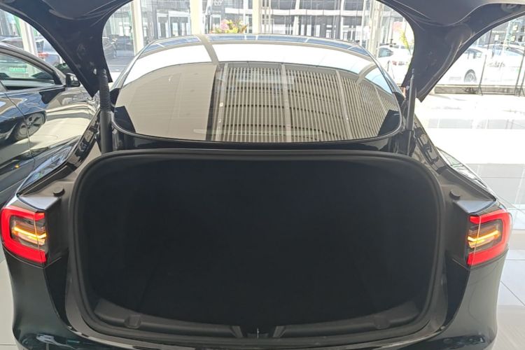 Tesla Model 3 2021 #19 Tesla Model 3 2021 car image #19