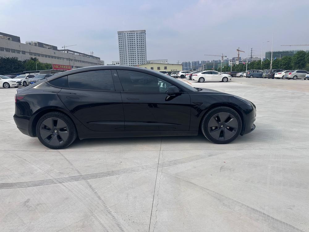 Tesla Model 3 2023 #8 Tesla Model 3 2023 car image #8