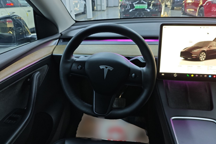 Tesla Model Y 2023 car image #11