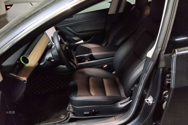 Tesla Model 3 2020 car image #17