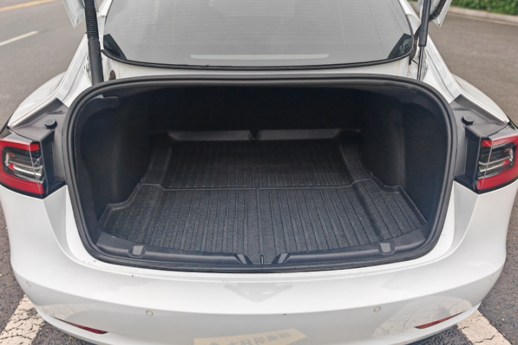 Tesla Model 3 2023 car image #20