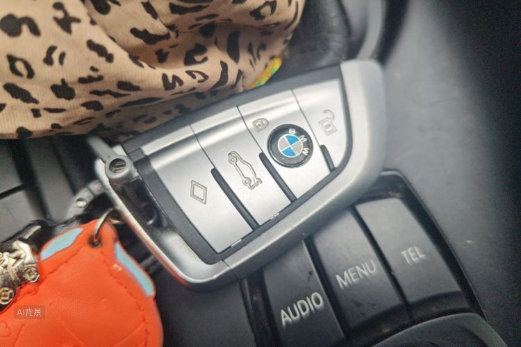 BMW X1 2017 car image #10
