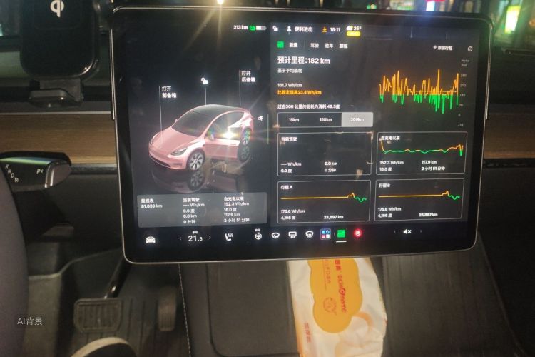 Tesla Model Y 2022 #13 Tesla Model Y 2022 car image #13
