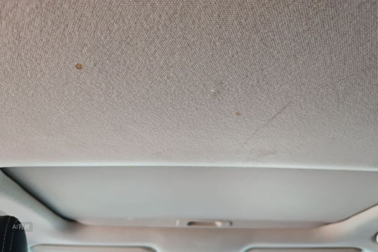 Toyota Corolla 2022 car image #20