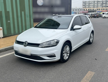 Volkswagen Golf 2019 Volkswagen Golf 2019 car image