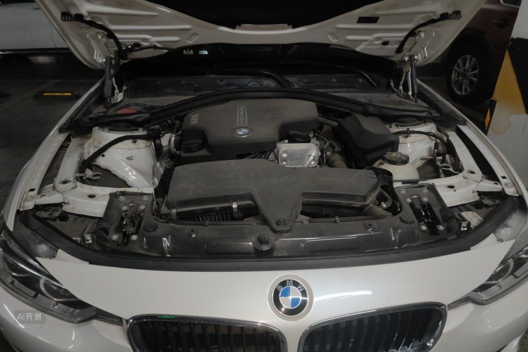 BMW 3 Series 2016 car image #22