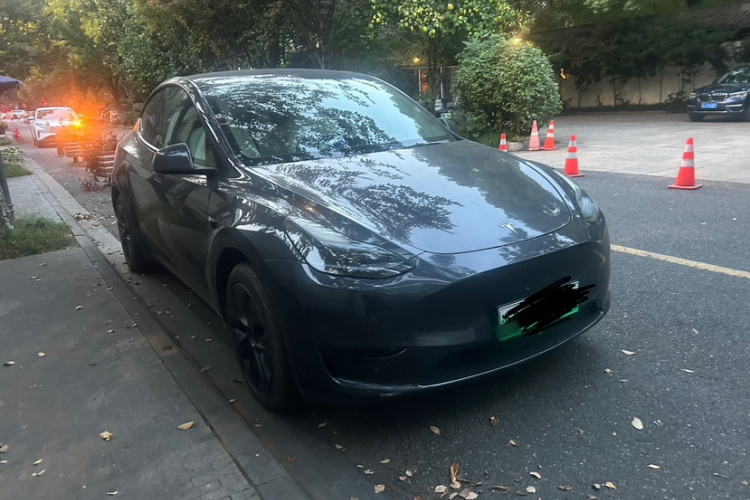 Tesla Model Y 2024 #7 Tesla Model Y 2024 car image #7