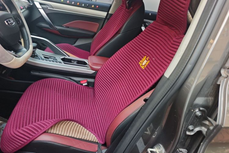 GEELY Coolray 2022 immagine di auto #15