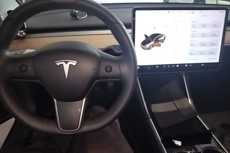 Tesla Model 3 2020 car image #10
