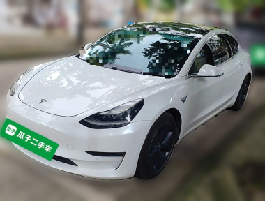 Tesla Model 3 2020 Tesla Model 3 2020 immagine di auto
