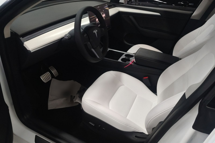 Tesla Model Y 2021 car image #12