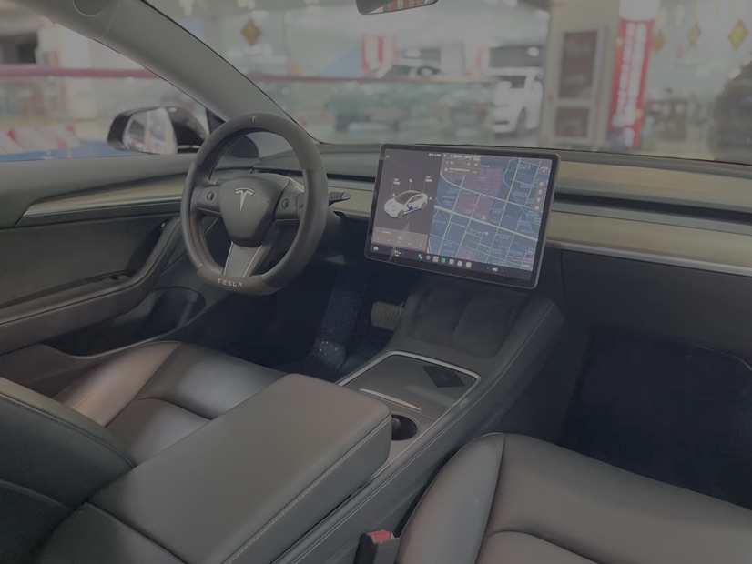 Tesla Model 3 2021 immagine di auto #4