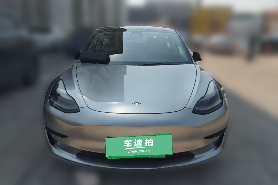 Tesla Model 3 2021 #5 Tesla Model 3 2021 car image #5