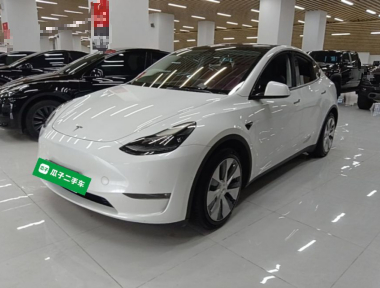 Tesla Model Y 2021 Tesla Model Y 2021 car image