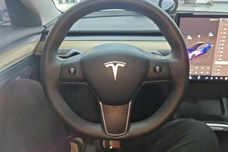 Tesla Model 3 2023 car image #11