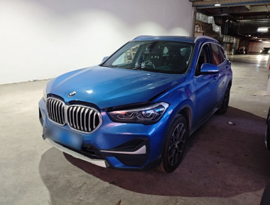 BMW X1 2019 car image 