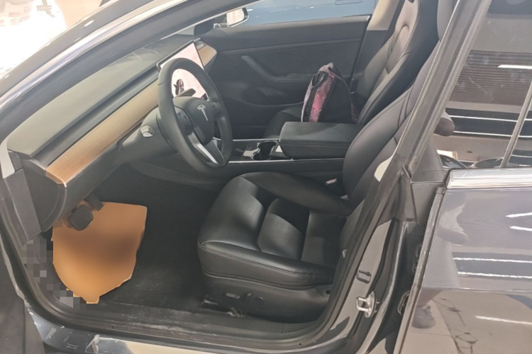 Tesla Model 3 2020 car image #15