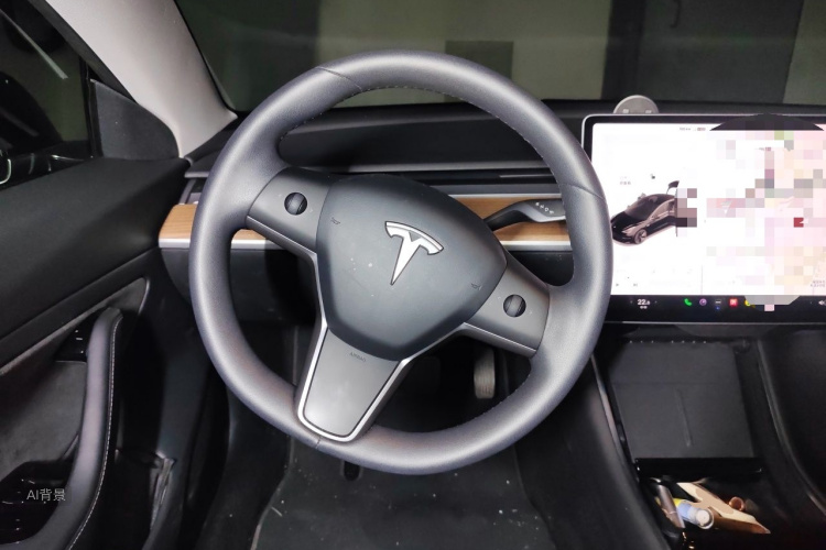 Tesla Model 3 2020 car image #12