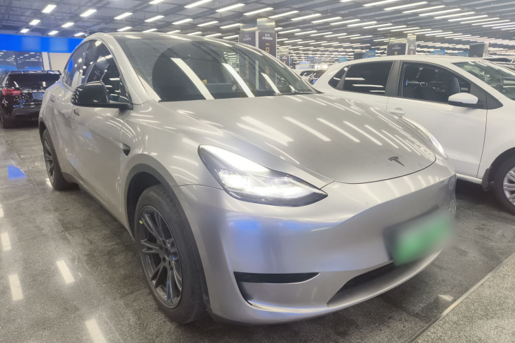 Tesla Model Y 2024 car image #6