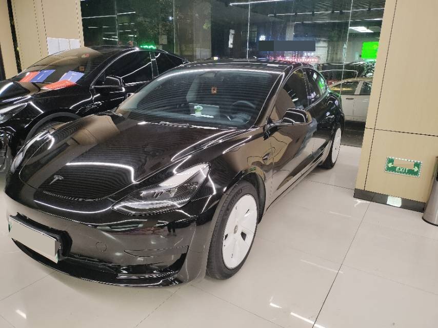 Tesla Model 3 2023 Tesla Model 3 2023 car image