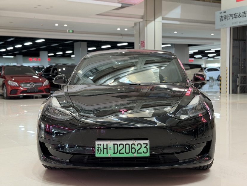 Tesla Model 3 2021 #2 Tesla Model 3 2021 car image #2