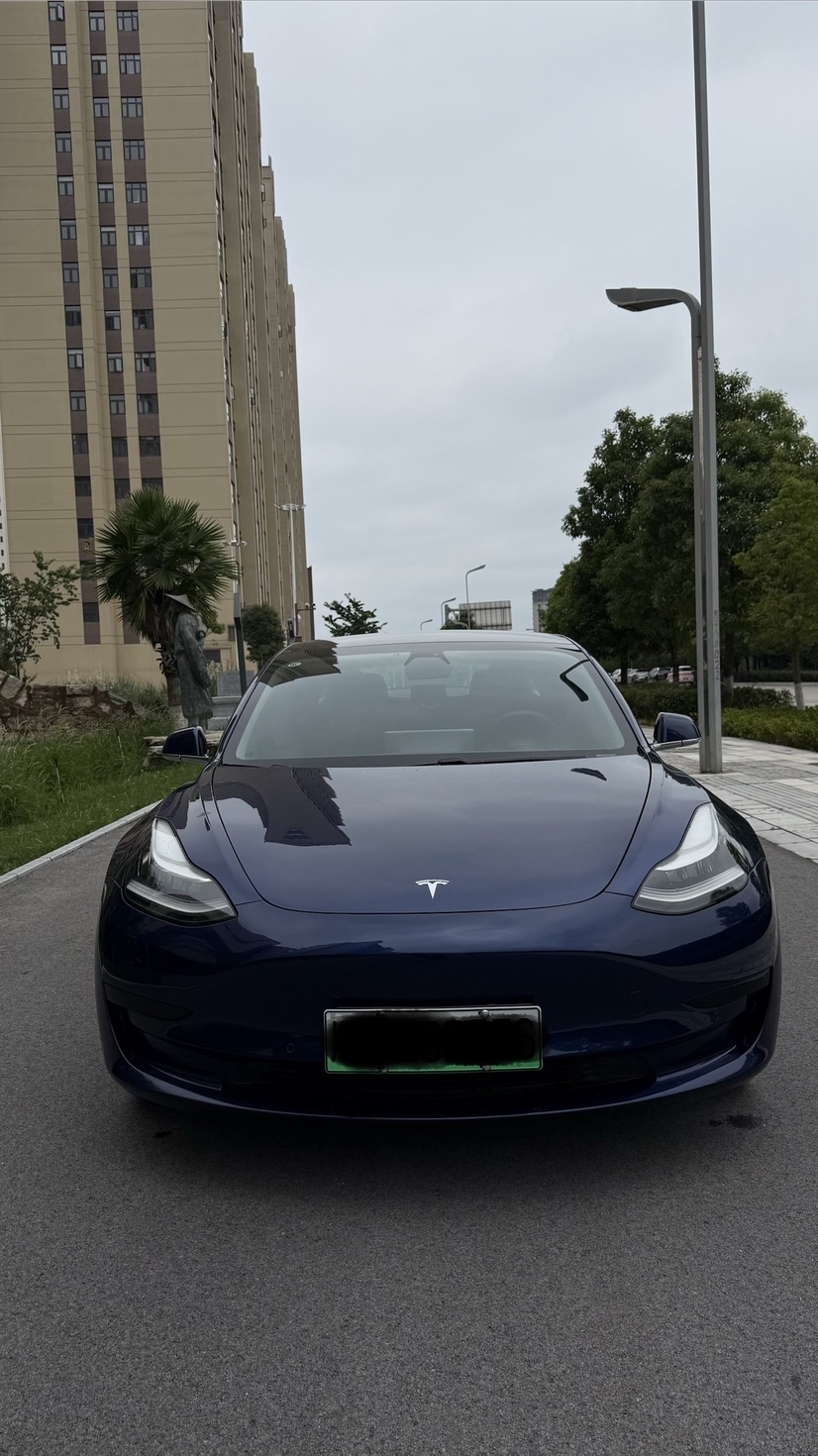 Tesla Model 3 2020 #2 Tesla Model 3 2020 car image #2
