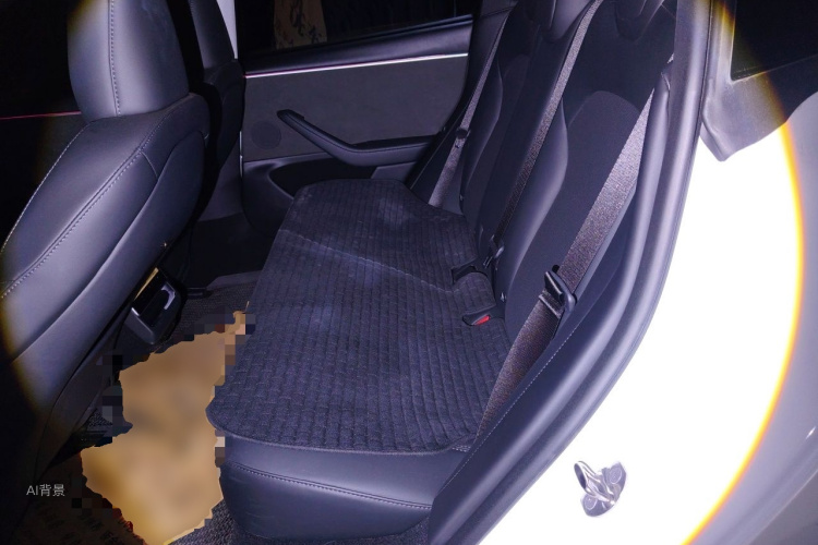 Tesla Model 3 2023 car image #19