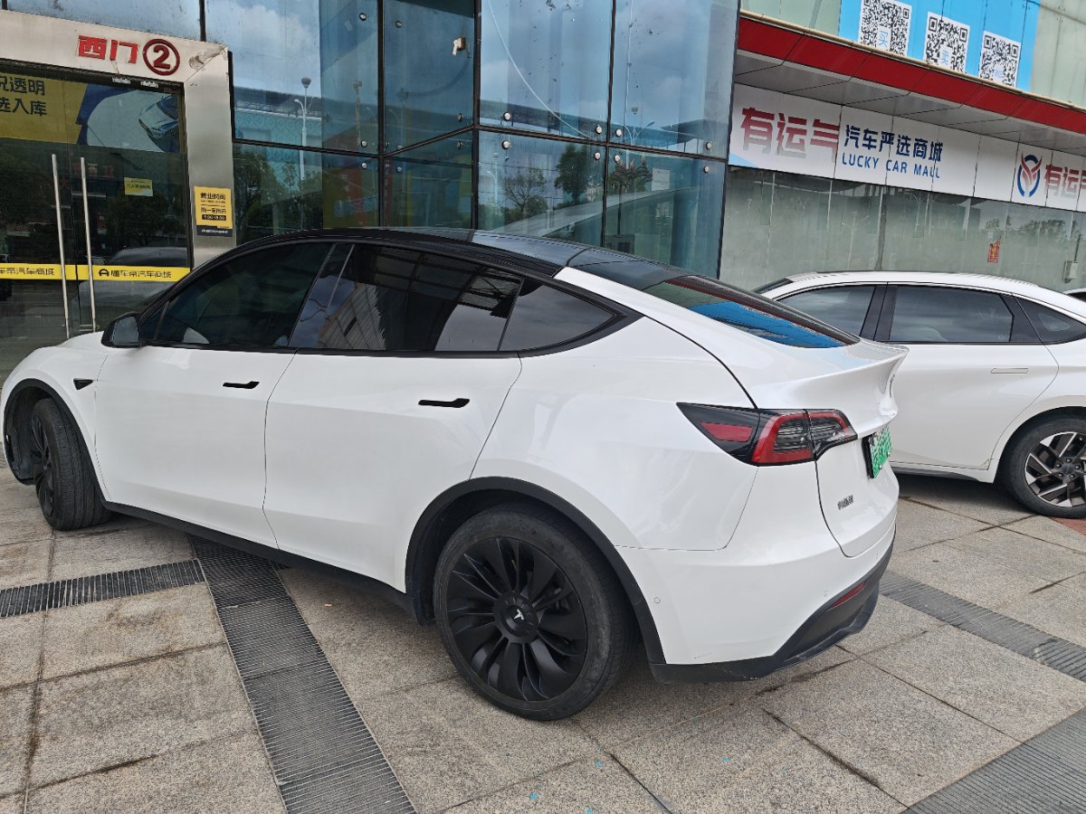 Tesla Model Y 2021 car image #6