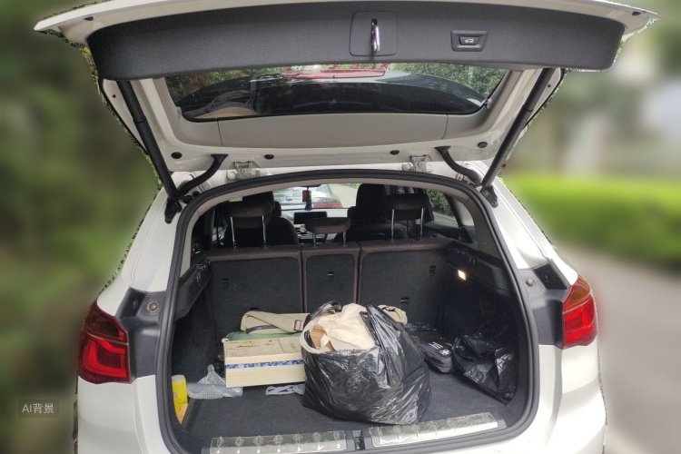 BMW X1 2017 car image #21