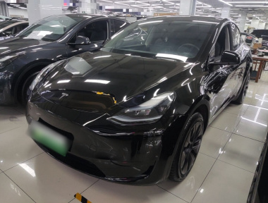 Tesla Model Y 2023 Tesla Model Y 2023 car image