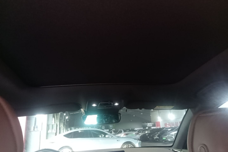 BYD Han 2020 #18 BYD Han 2020 immagine di auto #18