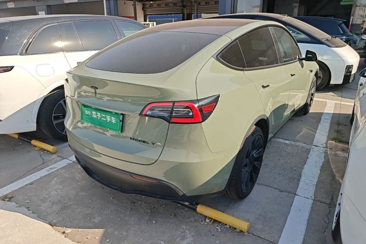 Tesla Model Y 2023 immagine di auto #7