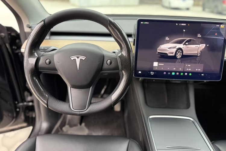 Tesla Model Y 2022 #10 Tesla Model Y 2022 car image #10
