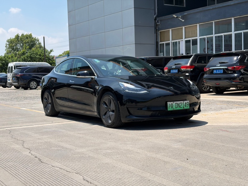 Tesla Model 3 2020 #3 Tesla Model 3 2020 car image #3