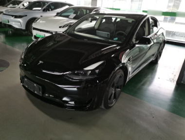 Tesla Model 3 2021 Tesla Model 3 2021 car image