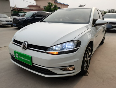 Volkswagen Golf 2019 car image 
