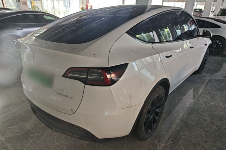 Tesla Model Y 2021 car image #7