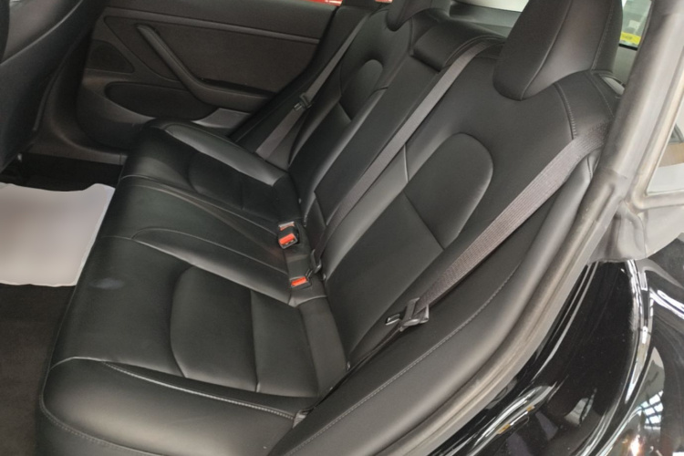 Tesla Model 3 2020 #17 Tesla Model 3 2020 صورة سيارة #17