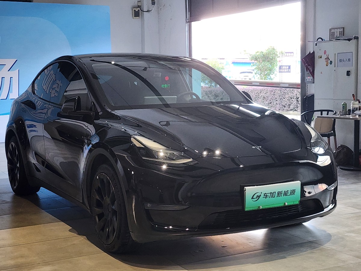 Tesla Model Y 2021 #3 Tesla Model Y 2021 car image #3