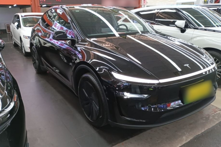 Tesla Model Y 2025 car image #4