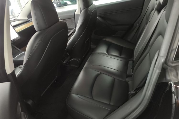 Tesla Model 3 2021 car image #13