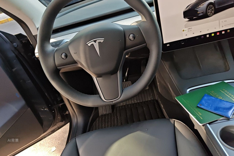 Tesla Model Y 2024 car image #12